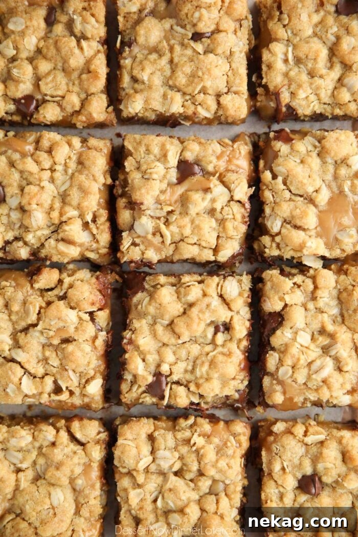 Squares of chocolate caramel bars.