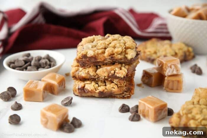 A stack of Caramelitas surrounded by chocolate chips and caramel squares.