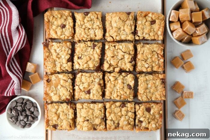 Squares of chocolate caramel bars.