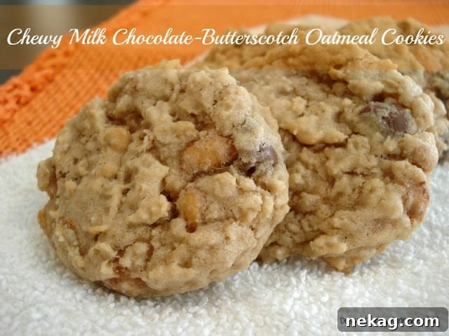 Chewy Oatmeal Cookies with Milk Chocolate and Butterscotch 47 img 341 1