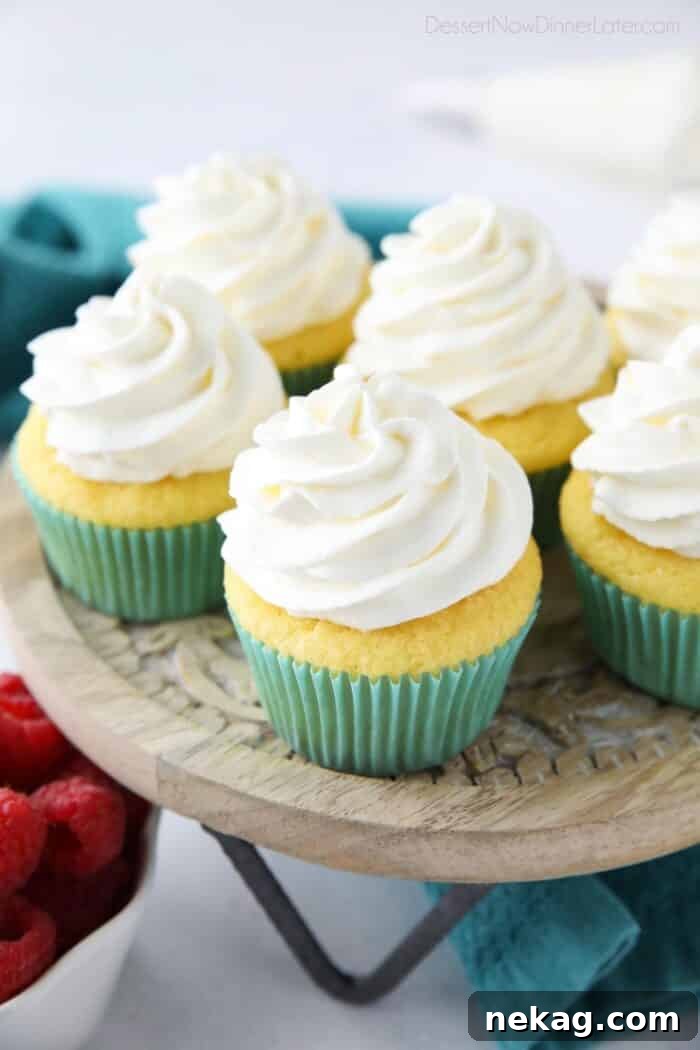 Stabilized Whipped Cream piped on top of cupcakes.