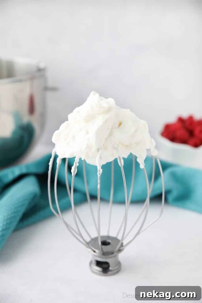 Whisk attachment with stabilized whipped cream on it.