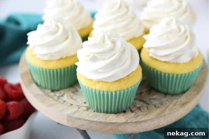 Zoomed in on cupcakes with whipped cream frosting piped high.