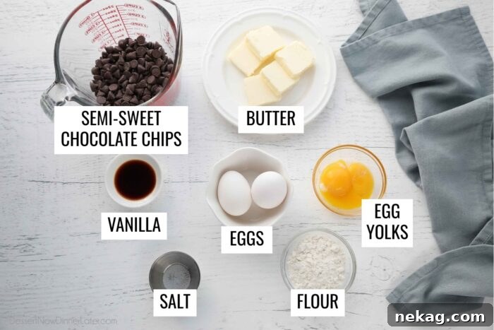 Molten Chocolate Lava Cake Recipe with Step-by-Step Video 5 Recipe ingredients for Chocolate Lava Cakes: Semi-sweet chocolate chips, butter, vanilla, eggs, egg yolks, salt, and flour.