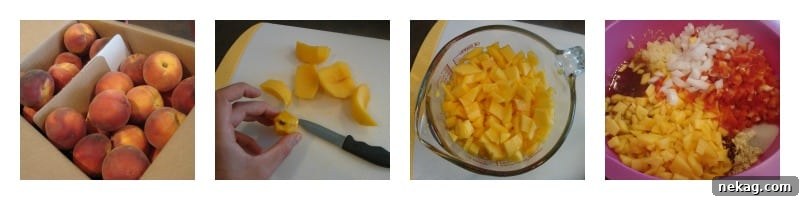 Spicy Peach Salsa