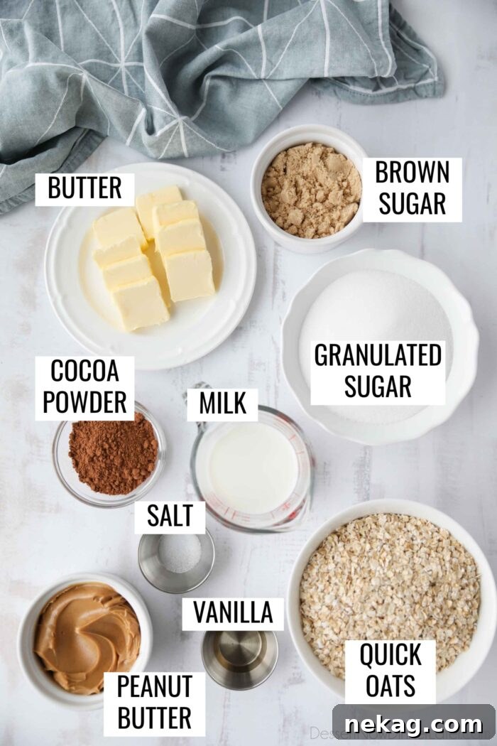 Labeled ingredients for no bake cookies.