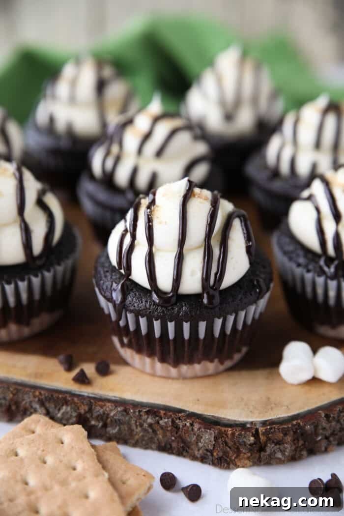 S'mores cupcakes with chocolate sauce drizzled on top.