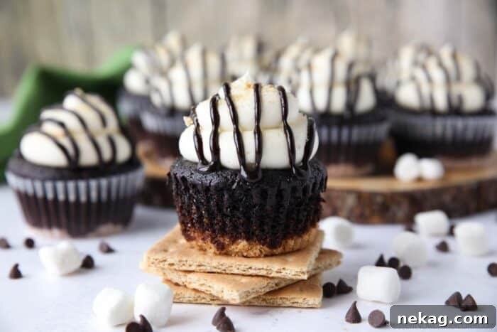S'mores Cupcake with the wrapper down exposing chocolate cake and graham cracker crust.