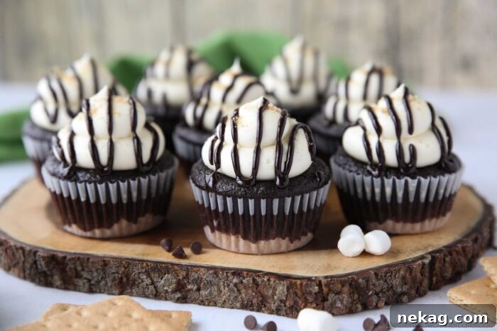 S'mores Cupcakes with layers of graham cracker, chocolate, and marshmallow.