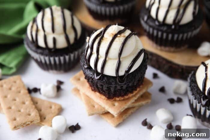 Marshmallow buttercream frosting piled high onto a chocolate cupcake with graham a cracker crust on bottom.