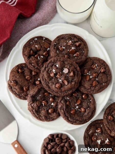 Plate of double chocolate chip cookies with flaky sea salt sprinkled on top.