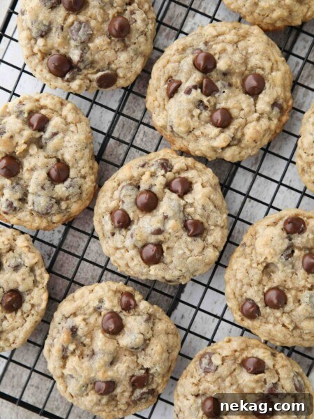 These Oatmeal Chocolate Chip Cookies are thick, soft, and chewy, with plenty of hearty old fashioned oats and creamy chocolate chips. An easy classic recipe.