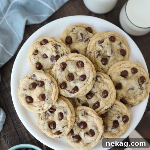Warm chocolate chip cookies on a plate.