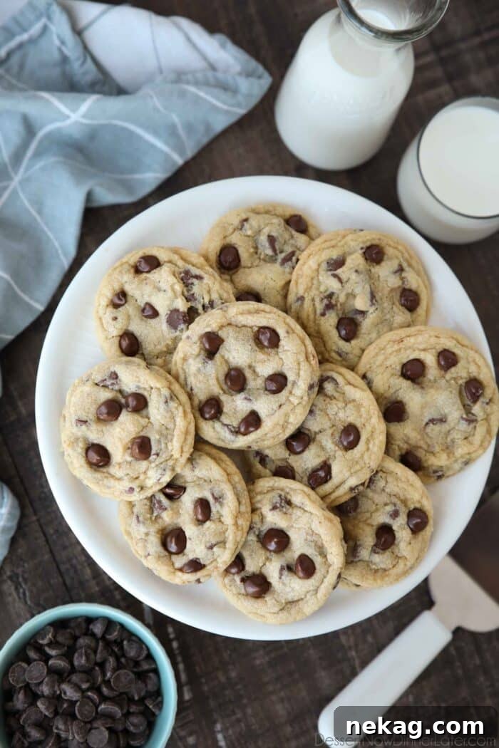 Warm chocolate chip cookies on a plate.