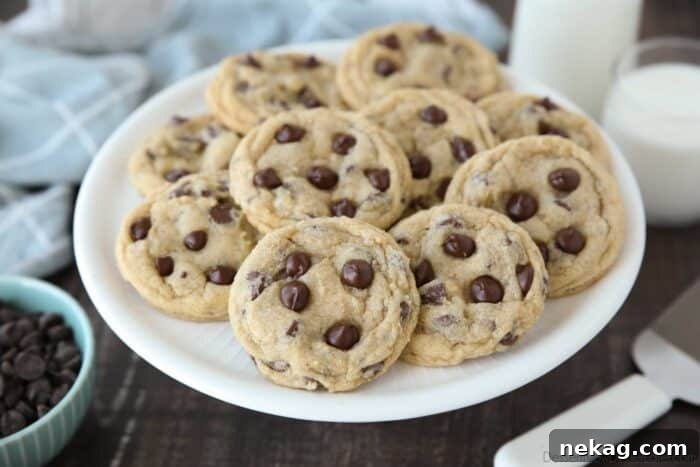 Soft and chewy chocolate chip cookies on a plate.
