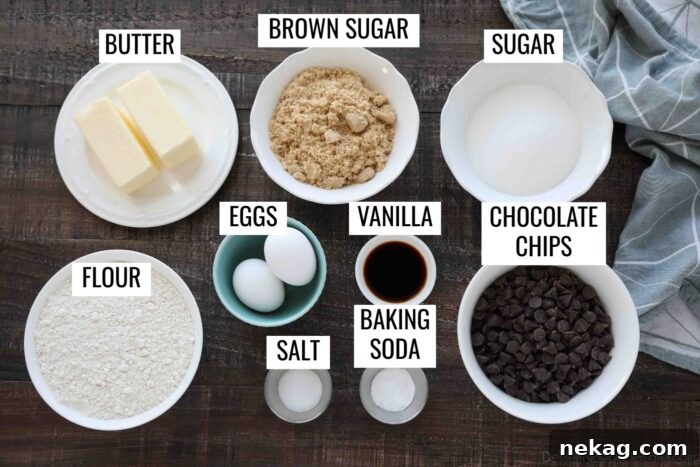 Labeled ingredients for the best chocolate chip cookies recipe.
