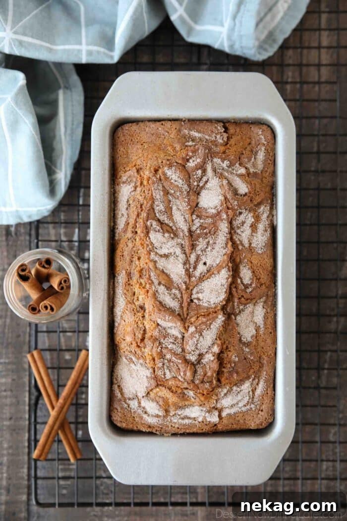 Ultimate Cinnamon Quick Bread Recipe — Moist & Spiced Loaf 4 Top view of cinnamon-sugar swirled on top of a baked loaf cake.