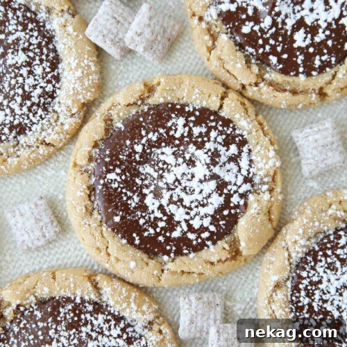 No-Bake Muddy Buddy Cookies Recipe for Crunchy Chocolate-Peanut Butter Treats 11 Close up of Muddy Buddy Cookies -- peanut butter cookies topped with melted chocolate and sprinkled with powdered sugar.
