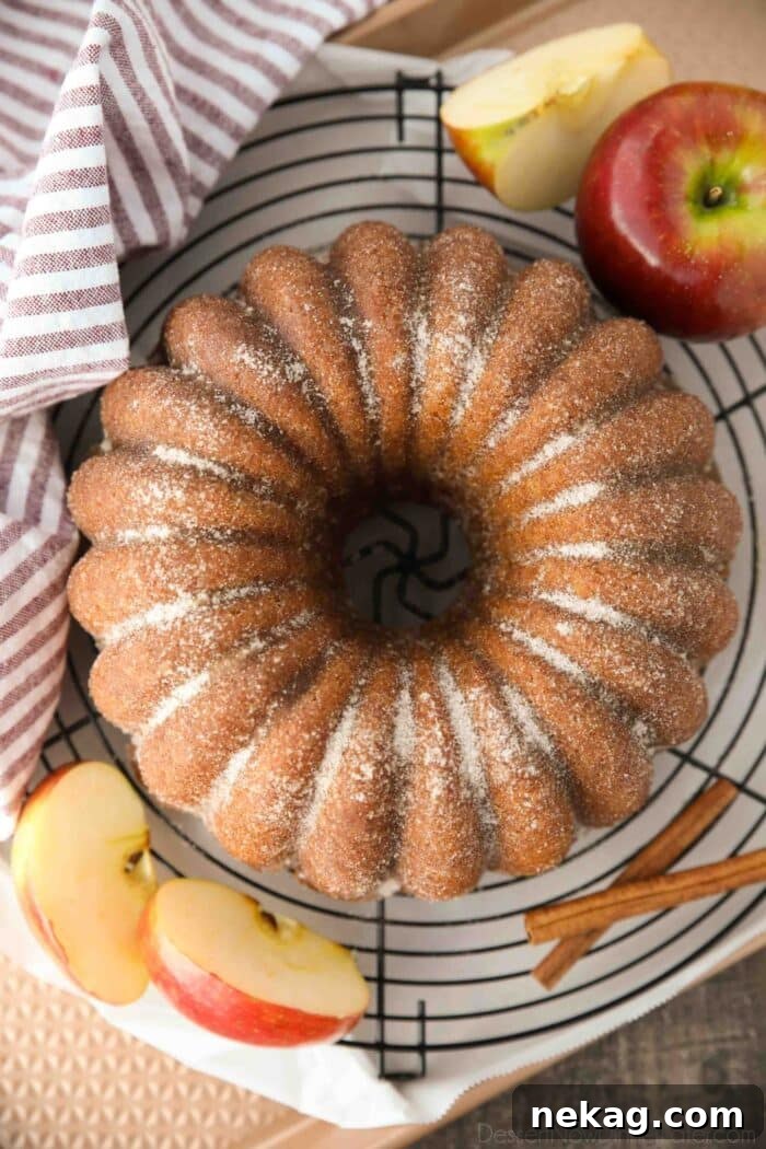Apple Cider Donut Cake Recipe with How-To Video 4 Top view of apple cider bundt cake with cinnamon-sugar sprinkled on the outside.