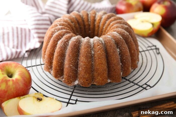 Apple Cider Donut Cake Recipe with How-To Video 10 Apple Cider Donut Cake on a cooling rack.