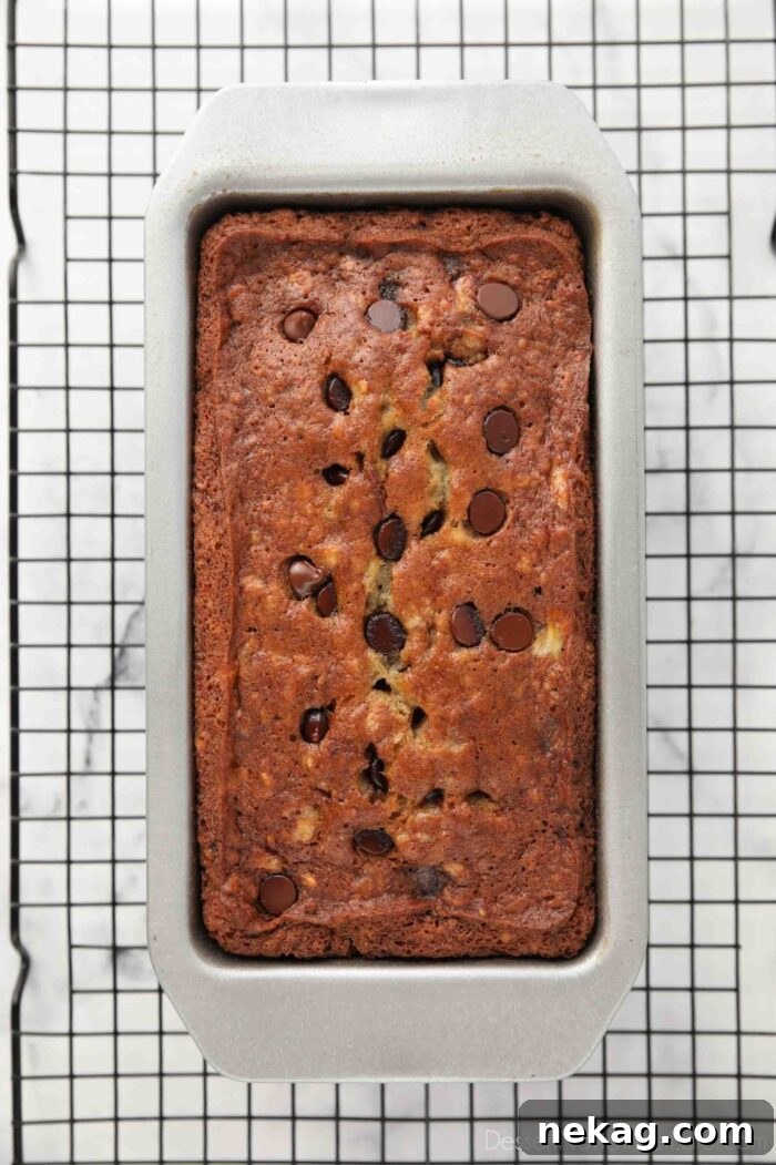 Chocolate Chip Banana Bread Recipe with Melted Chocolate Chunks 3 Loaf of chocolate chip banana bread in pan.