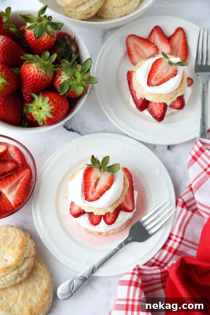 Flaky Biscuit Strawberry Shortcake Recipe You’ll Love 4 Top view of strawberry shortcake stacks on plates with biscuits, whipped cream, and strawberries.