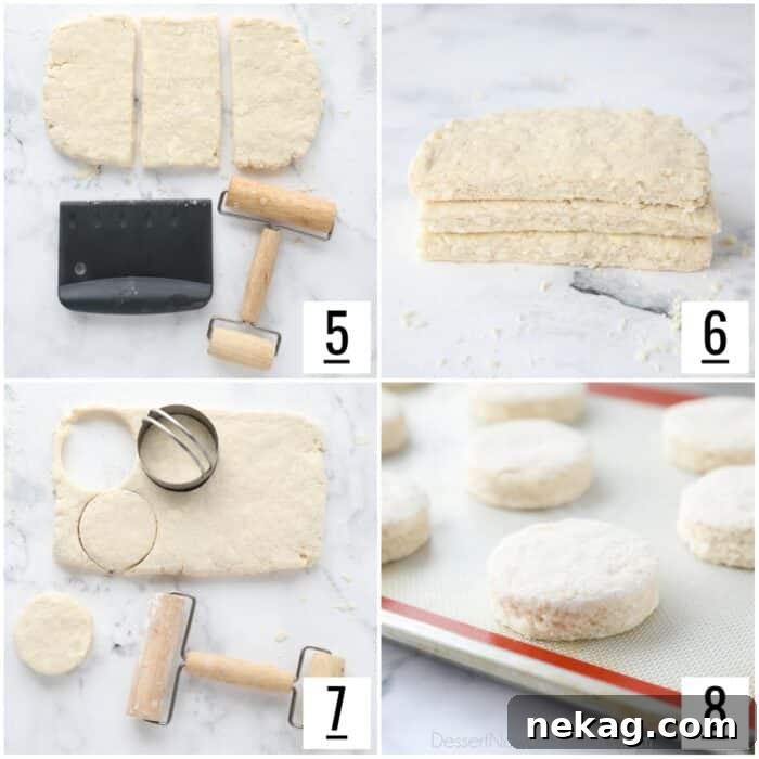 Flaky Biscuit Strawberry Shortcake Recipe You’ll Love 7 Steps to roll and cut biscuits.