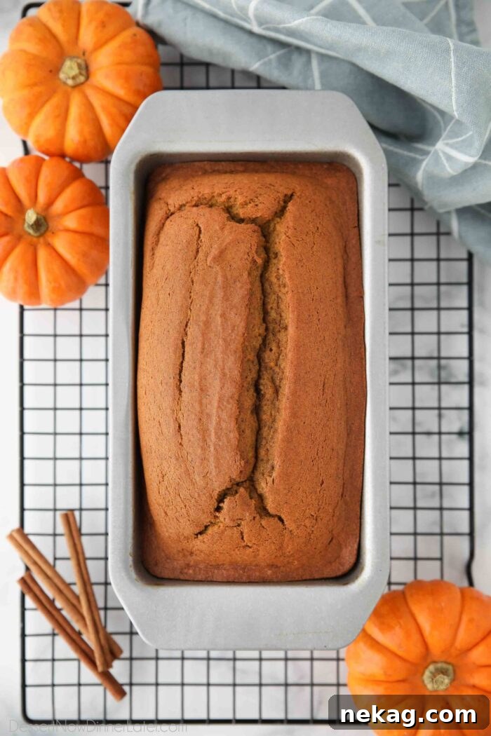 Moist Spiced Pumpkin Loaf Recipe for Autumn Baking 3 Baked pumpkin loaf in a pan.
