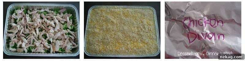 Make Ahead Freezer Meals