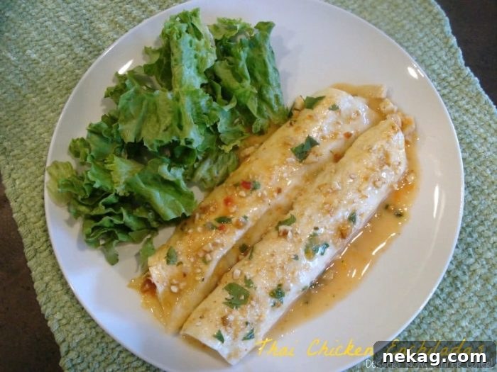 Thai Chicken Enchiladas