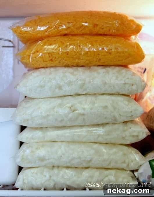 Can You Freeze Cheese? Tips for Freezing and Thawing Dairy 6 img 37 5