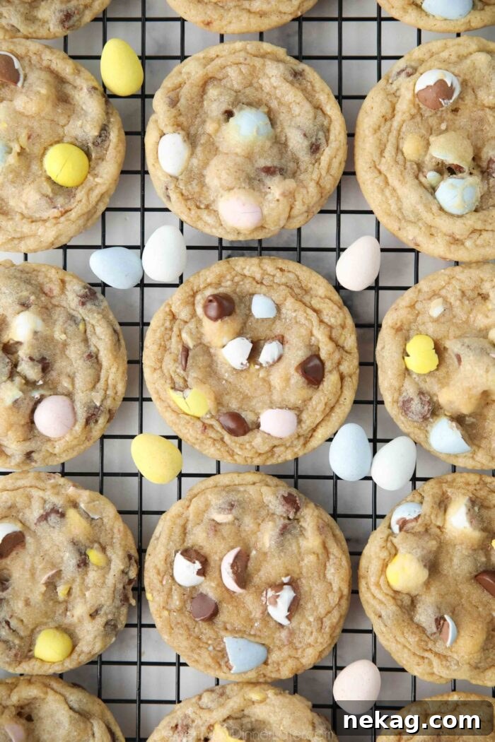 Cadbury Egg Cookie Recipe: Gooey Chocolate Candy Cookies 3 Chocolate chip Easter cookies with Cadbury mini eggs on a cooling rack.
