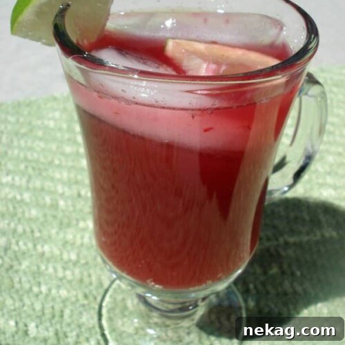 Sparkling Blackberry Limeade