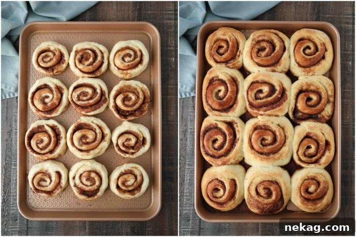 Homemade Cinnamon Rolls with Gooey Cream Cheese Frosting 10 Before and after baking homemade cinnamon rolls.