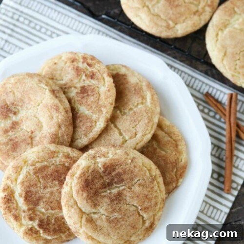 The BEST snickerdoodles are slightly crisp on the outside, soft and buttery on the inside, with plenty of cinnamon-sugar. You won't be able to stop eating these easy snickerdoodle cookies!