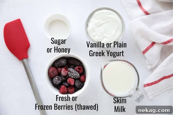 Ingredients for Berry Frozen Yogurt: Sugar, Fat-Free Vanilla Greek Yogurt, Berries, and Skim Milk.