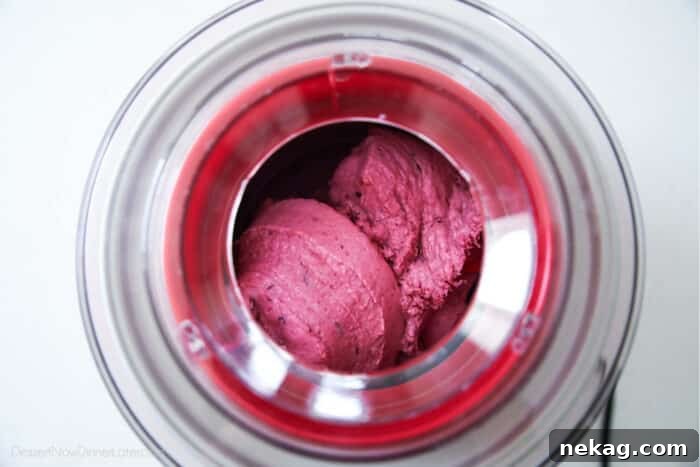 Berry frozen yogurt churning in ice cream maker.