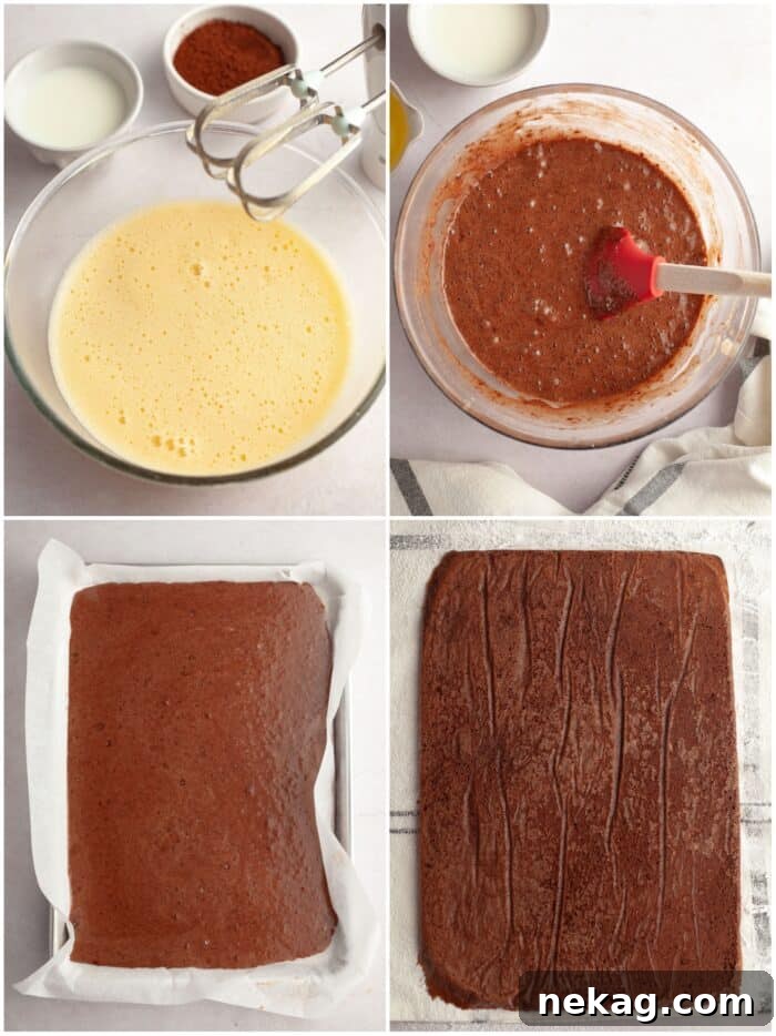 Chocolate Chocolate Roll Cake: Light Cocoa Sponge Roulade 7 Steps to make a chocolate sponge roulade.