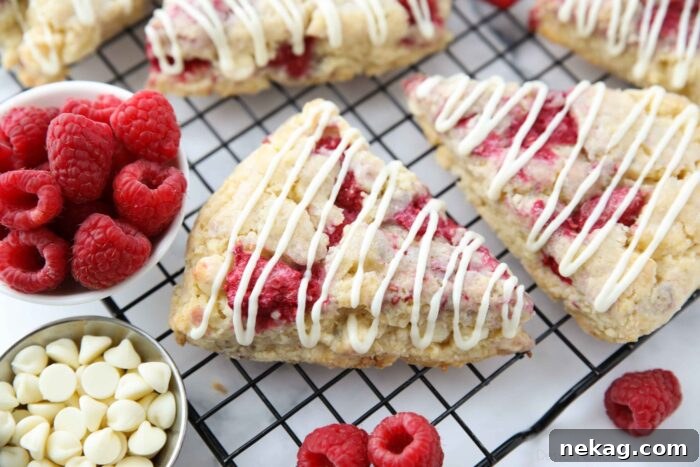 Close up of raspberry scones with white chocolate drizzled on top.