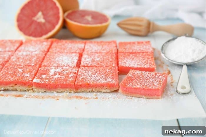 Grapefruit bars (just like lemon bars) cut into squares with a dusting of powdered sugar on top.