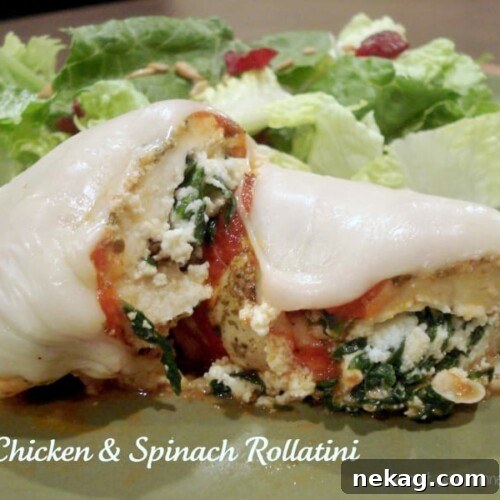 Chicken & Spinach Rollatini
