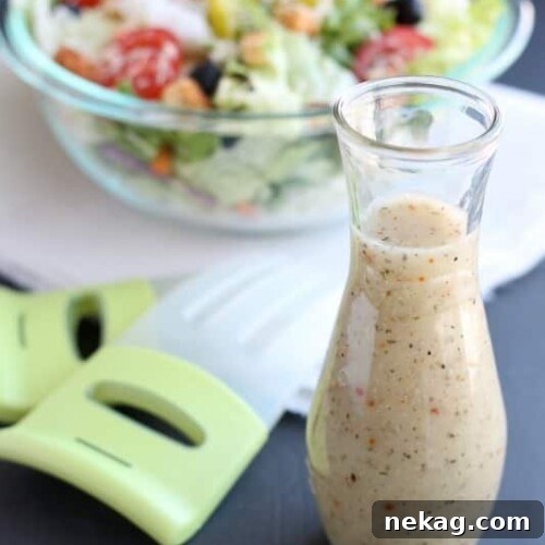 Olive Garden Salad Dressing Recipe (Copycat + Video) 6 Copycat Olive Garden Salad Dressing