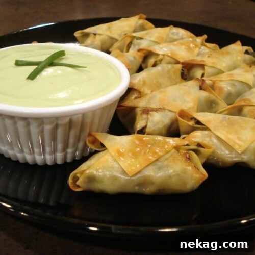 Southwest Egg Rolls