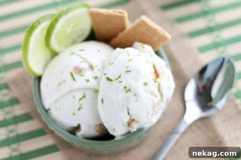 Key Lime Pie Ice Cream