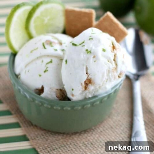 Key Lime Pie Ice Cream