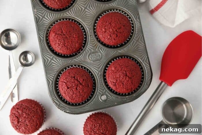 Close up, top view of baked red velvet cupcakes in muffin tin.
