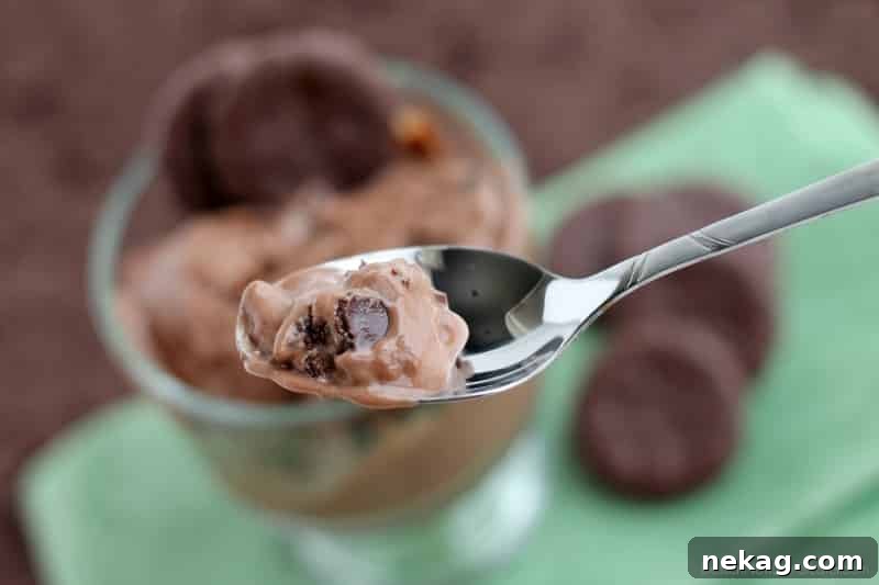 Chocolate Thin Mint Ice Cream