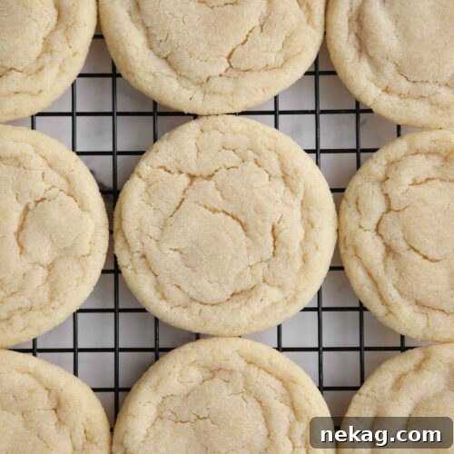 Classic Sugar Cookie Recipe: Soft, Bake-and-Share Cookies 9 Easy sugar cookies without frosting cooling on a wire rack.