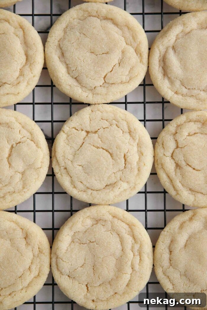 Classic Sugar Cookie Recipe: Soft, Bake-and-Share Cookies 4 Easy sugar cookies without frosting cooling on a wire rack.