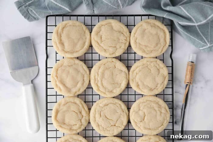 Classic Sugar Cookie Recipe: Soft, Bake-and-Share Cookies 7 Easy drop sugar cookies without frosting cooling on a wire rack.